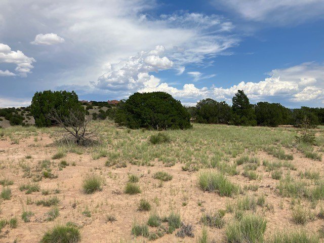 Picture 20