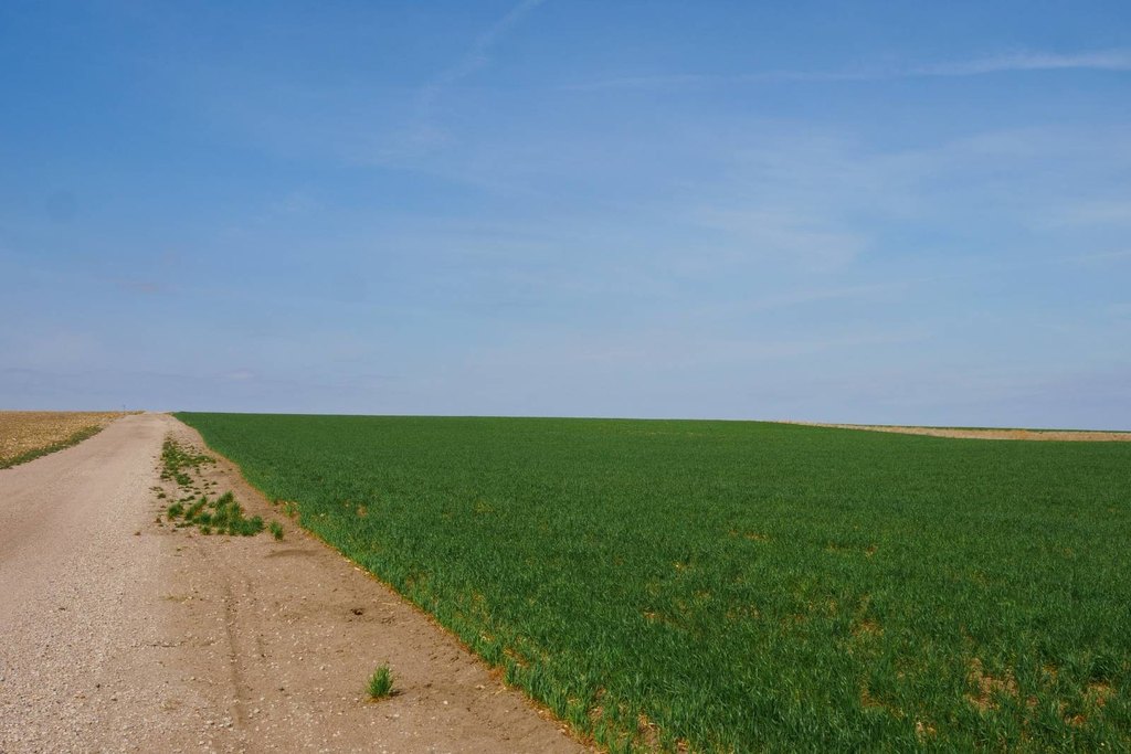 Picture 20
