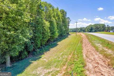 Commercial Land in Carnesville, GA
