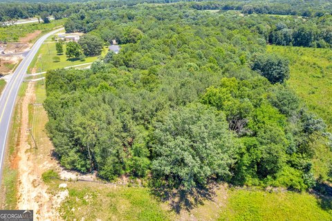 Commercial Land in Carnesville, GA