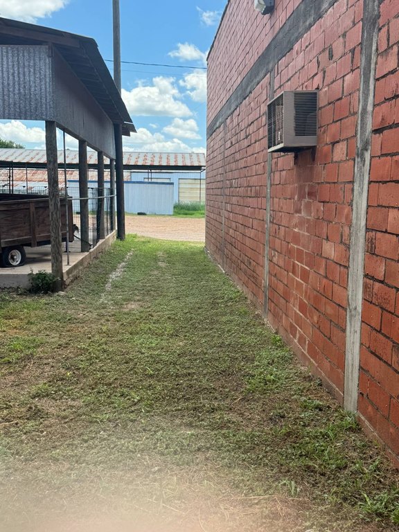 Picture 25