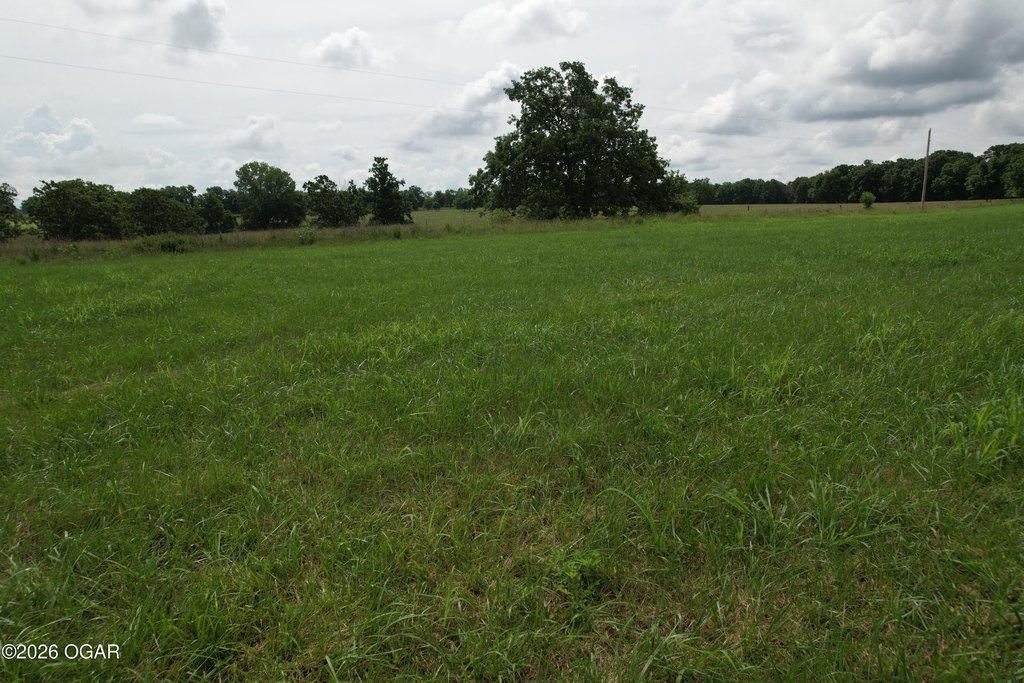 Picture 32