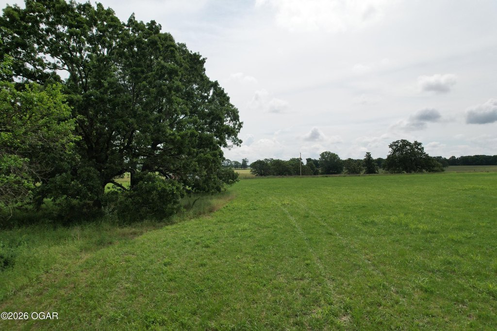 Picture 24