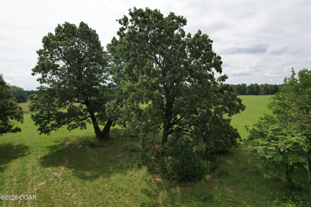 Picture 19
