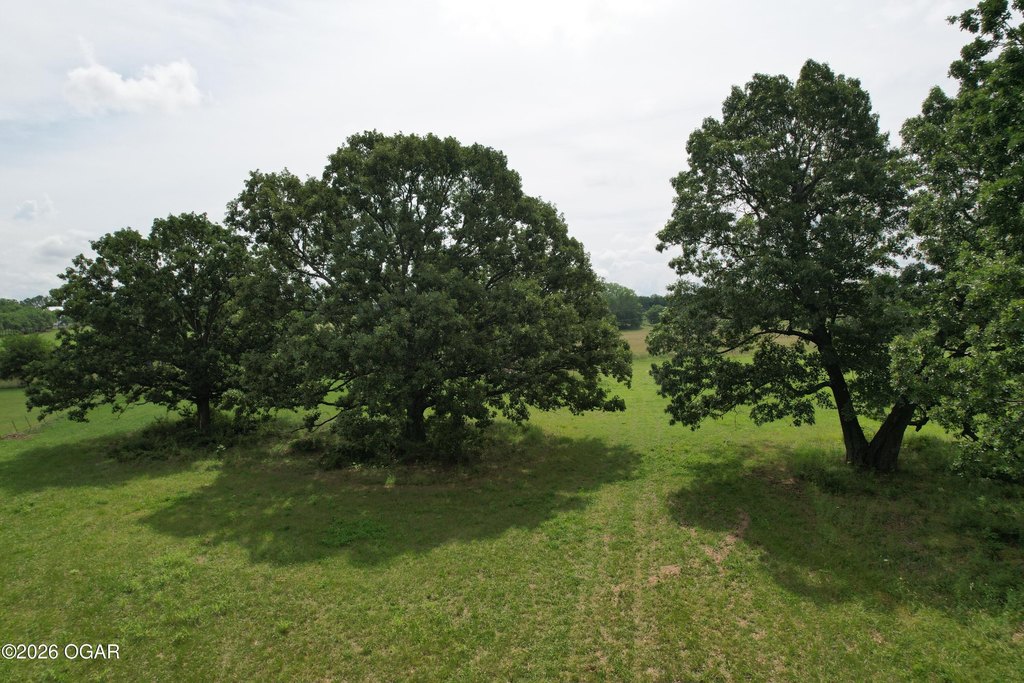 Picture 20