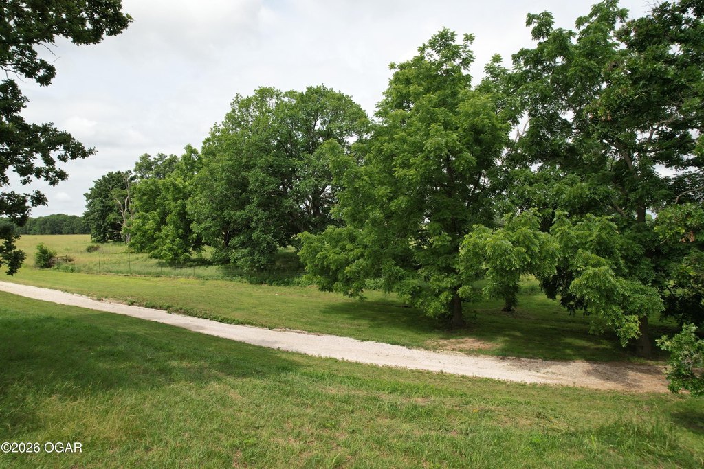 Picture 22