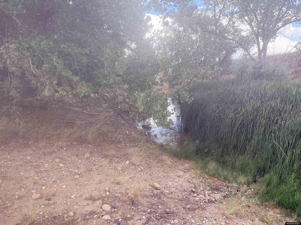 Picture 11