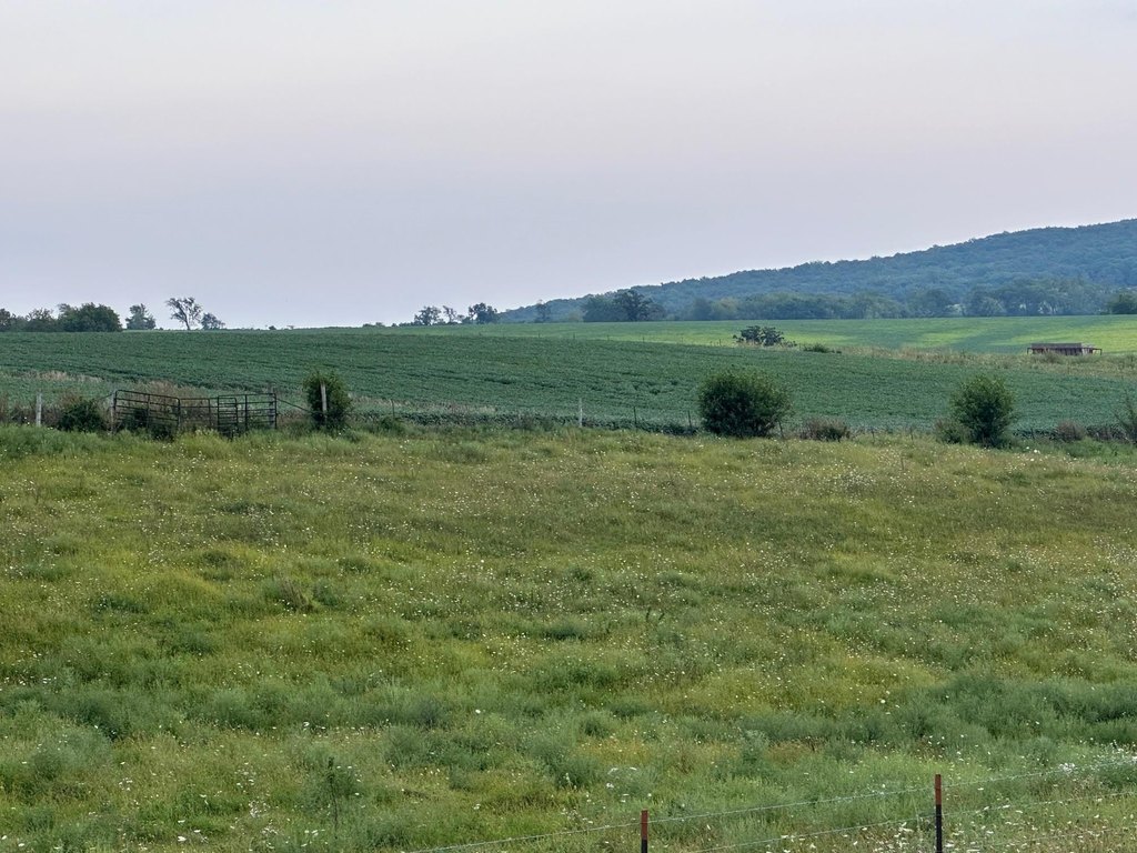 Picture 22