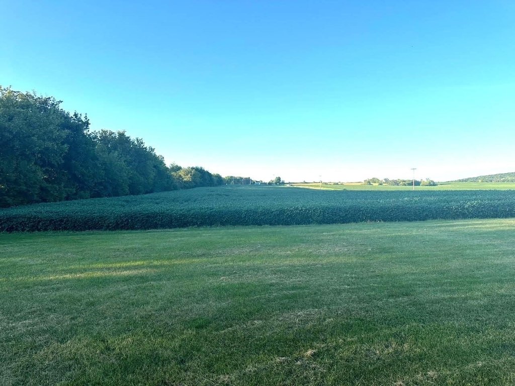 Picture 20