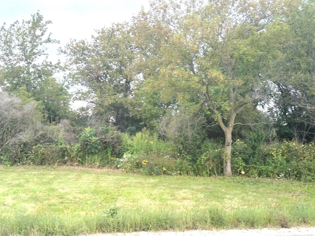 Picture 16