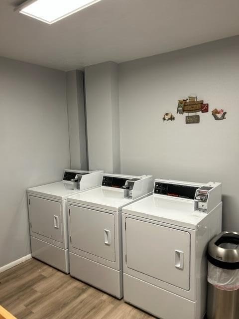 Picture 8
