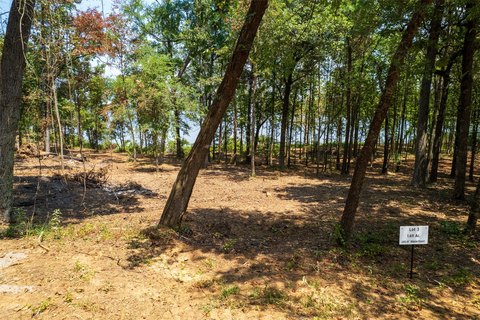 Waterfront Lot with Lake Frontage
