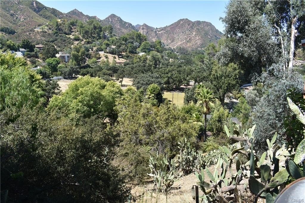 Picture 7