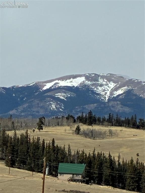 Picture 8