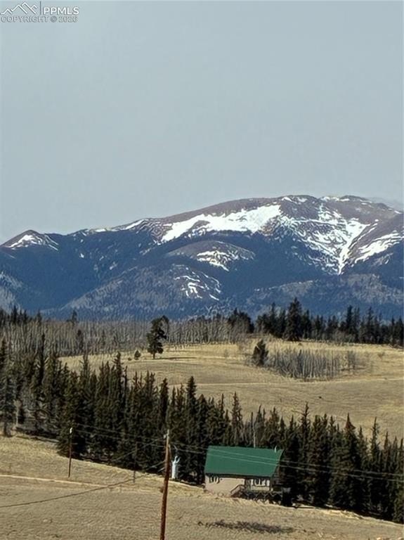 Picture 7