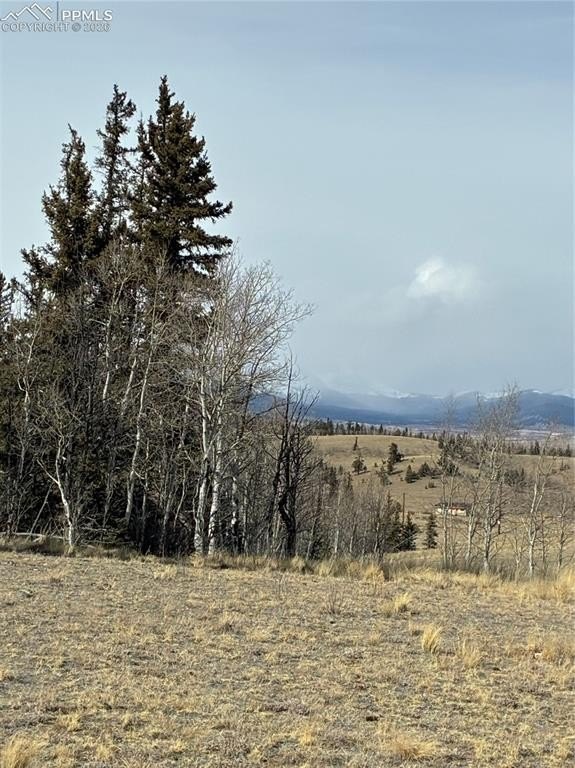 Picture 21