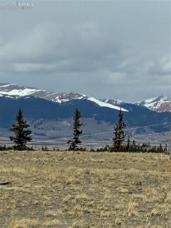 Picture 3