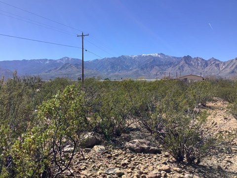 LAND - Safford, AZ