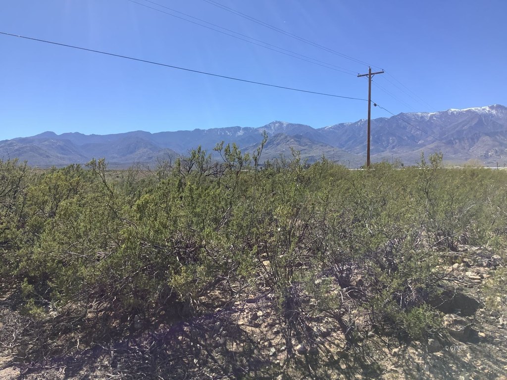 Picture 17