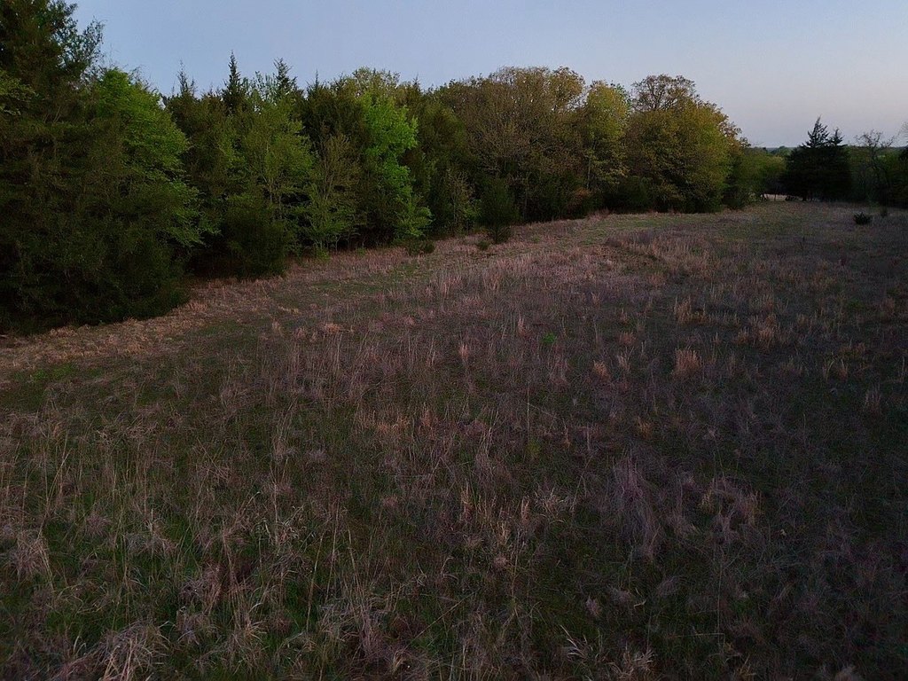Picture 7