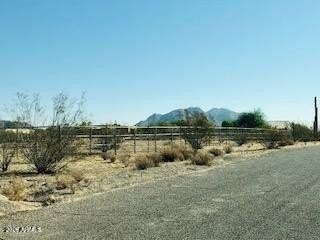 Picture 12