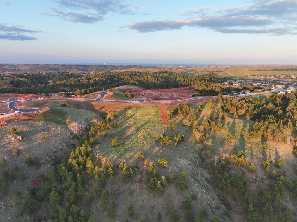 Picture 12