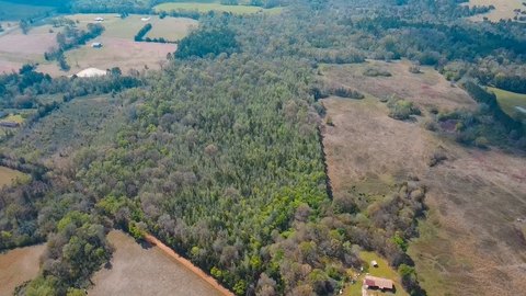 Heavily Wooded Recreational Tract