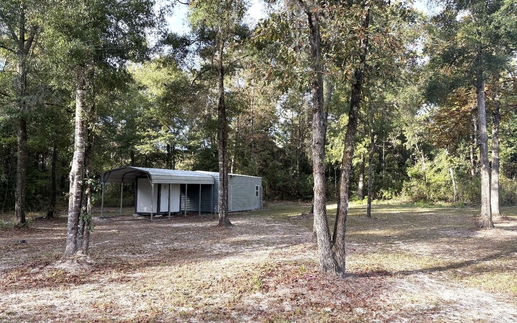 Picture 5
