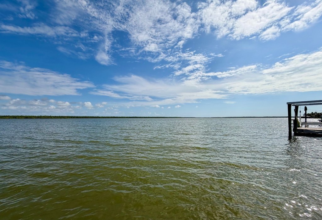 Picture 16