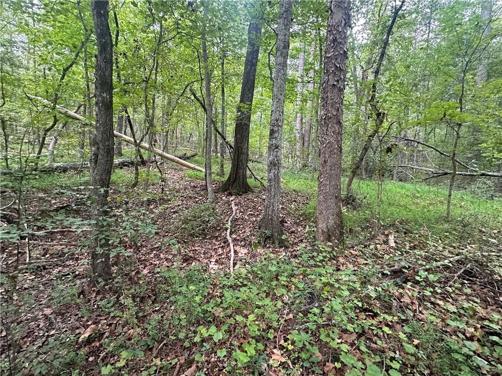 Picture 8