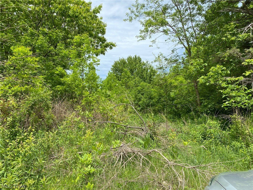 Land Available in Geneva, Ohio