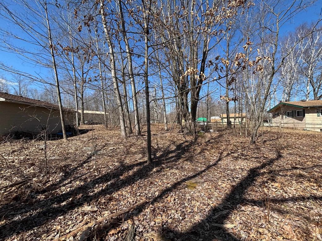 Picture 5