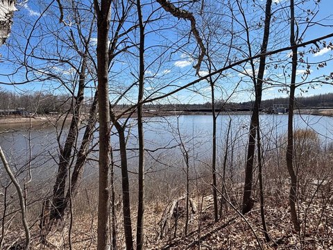 Vacant Land Near Smallwood Lake