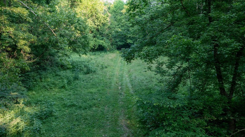 Picture 22