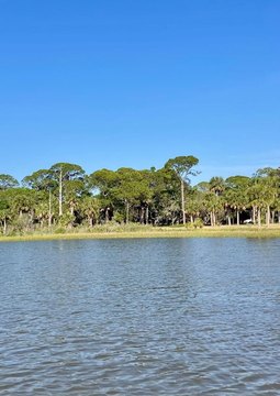Waterfront Land in Cedar Key