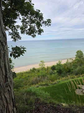 Land, South Haven, MI