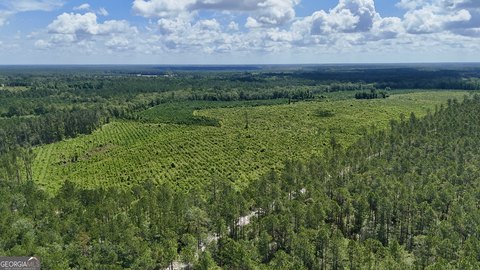 Versatile 55-Acre Timber Investment Property
