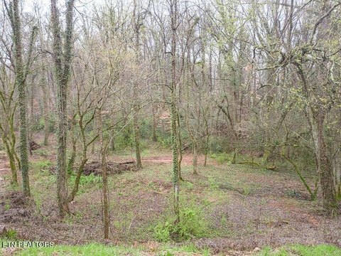 Knoxville Land Near Tennessee River