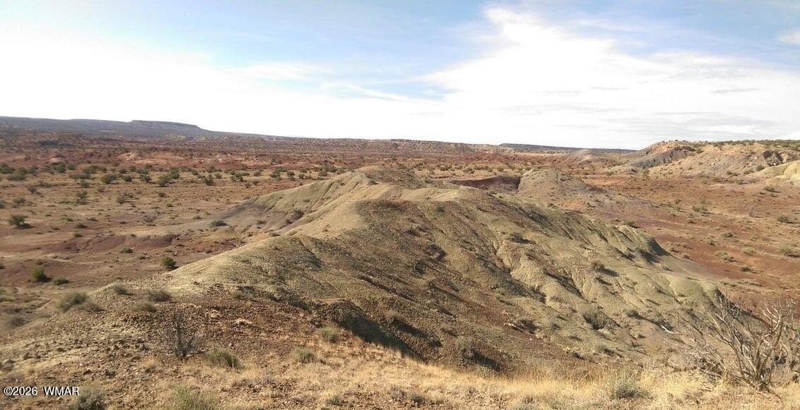 Expansive High-Desert Land in St. Johns