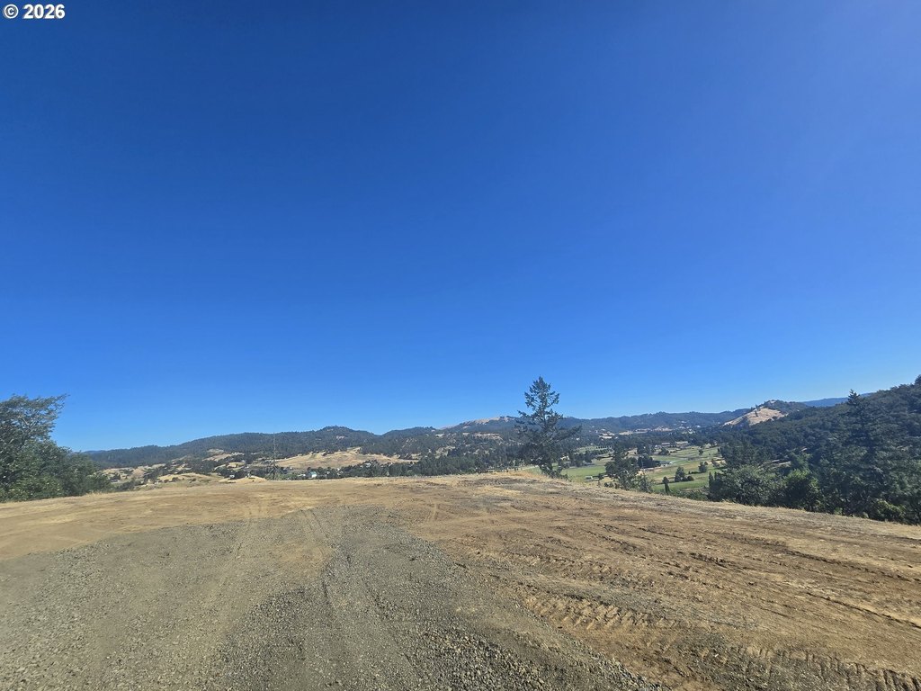 Picture 16