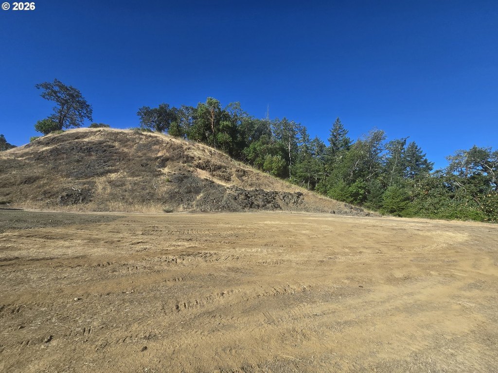 Picture 11