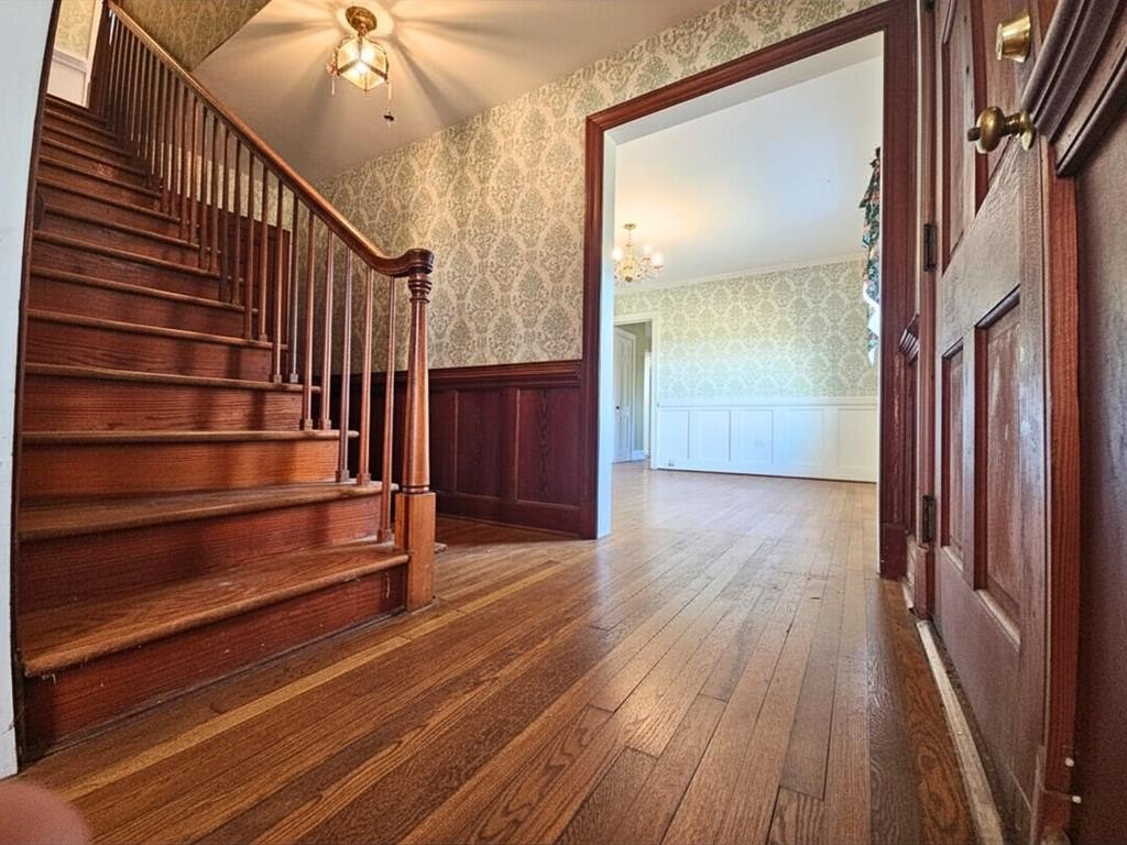 Picture 42