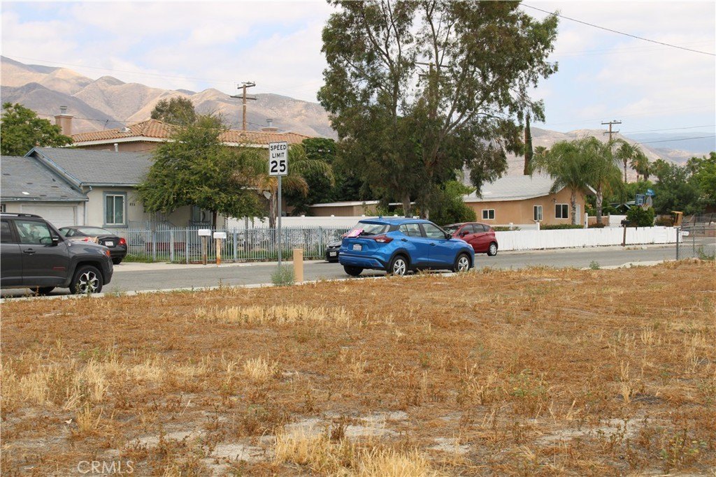 Picture 11