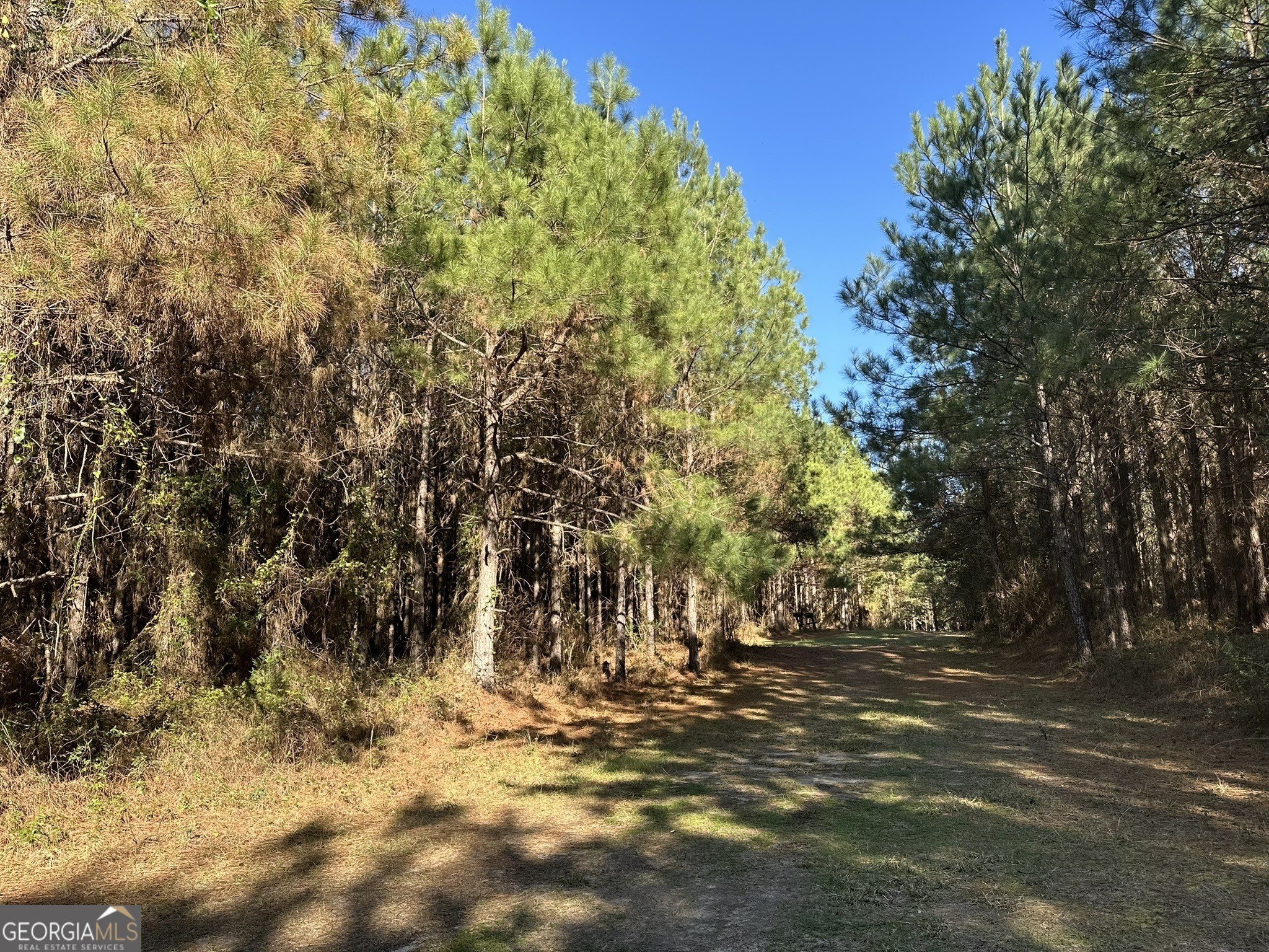 Rural Hunting Land in Gordon, AL