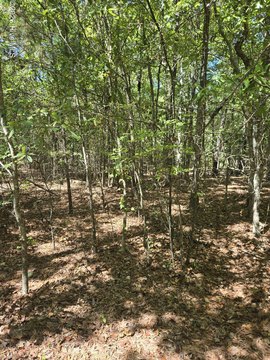 Land, Lincolnton, GA