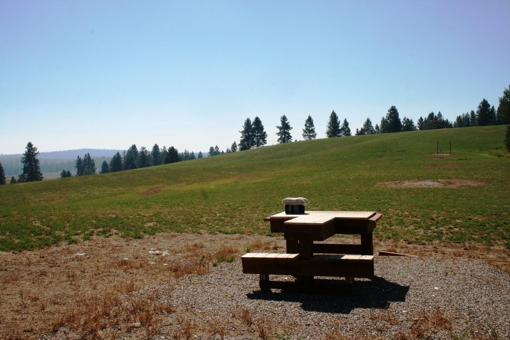 Picture 17