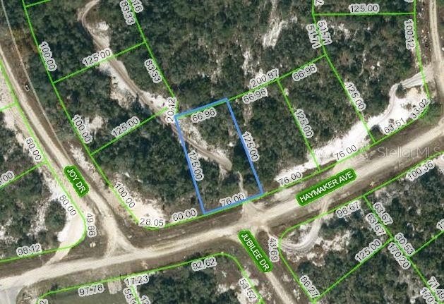 Residential Land in Lake Placid