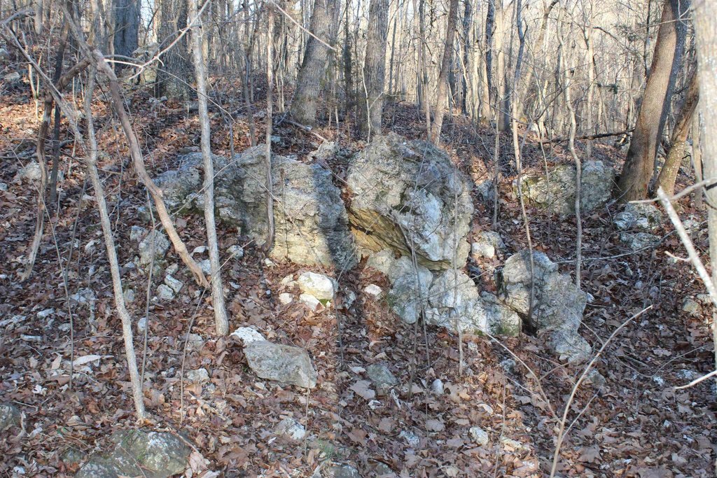 Picture 9