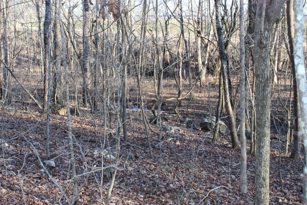 Picture 13