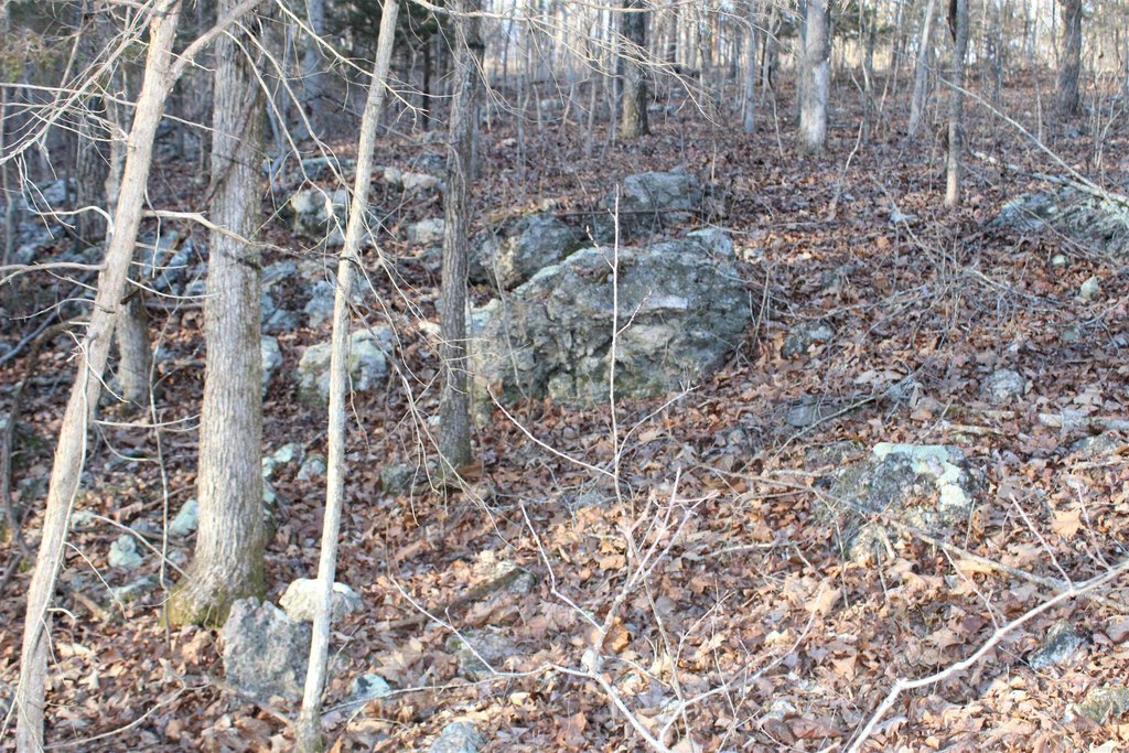 Picture 12